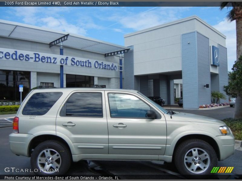 Gold Ash Metallic / Ebony Black 2005 Ford Escape Limited 4WD