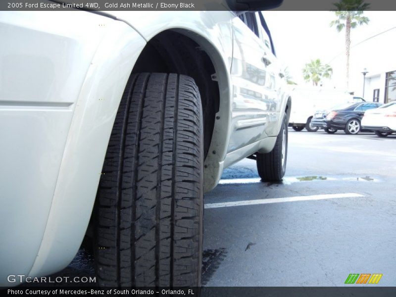 Gold Ash Metallic / Ebony Black 2005 Ford Escape Limited 4WD