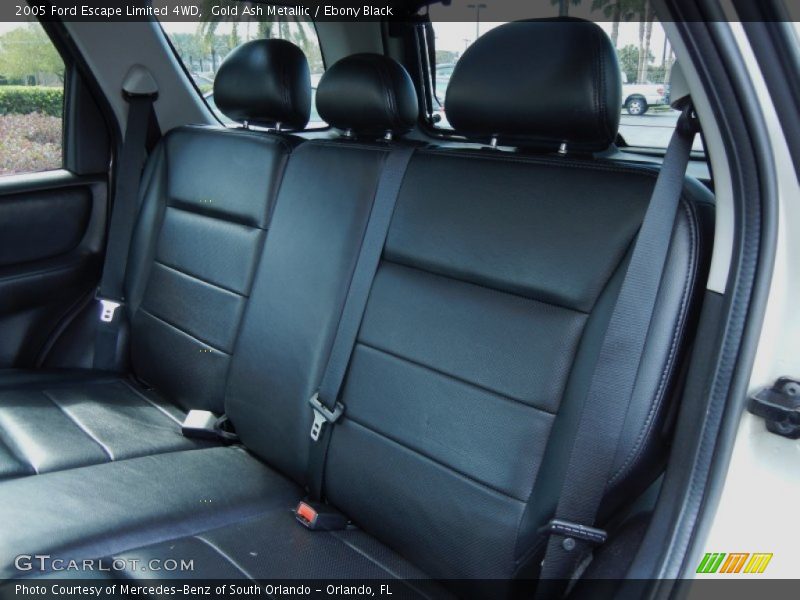 Gold Ash Metallic / Ebony Black 2005 Ford Escape Limited 4WD