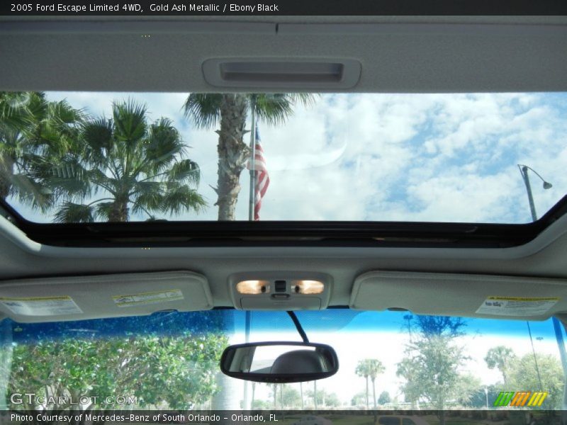 Gold Ash Metallic / Ebony Black 2005 Ford Escape Limited 4WD
