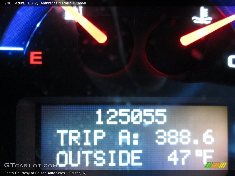 Anthracite Metallic / Camel 2005 Acura TL 3.2