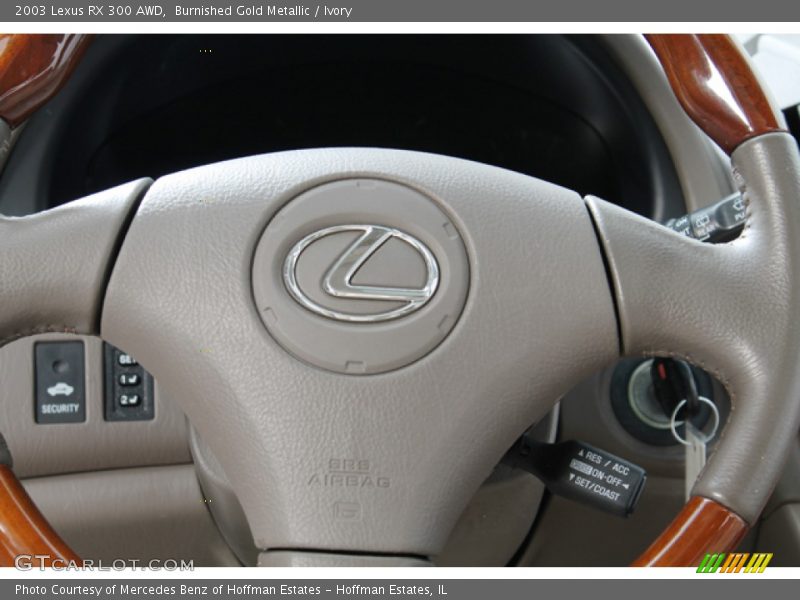 Burnished Gold Metallic / Ivory 2003 Lexus RX 300 AWD