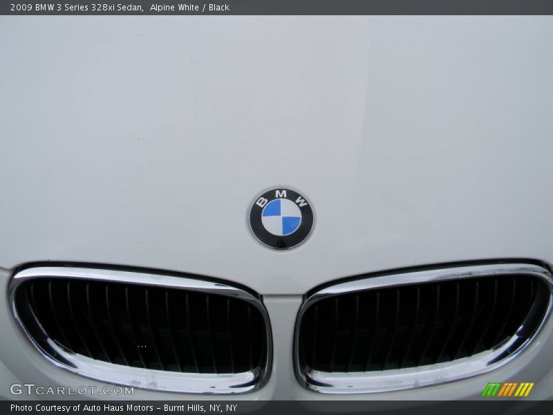 Alpine White / Black 2009 BMW 3 Series 328xi Sedan