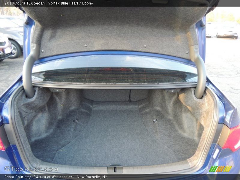 Vortex Blue Pearl / Ebony 2010 Acura TSX Sedan
