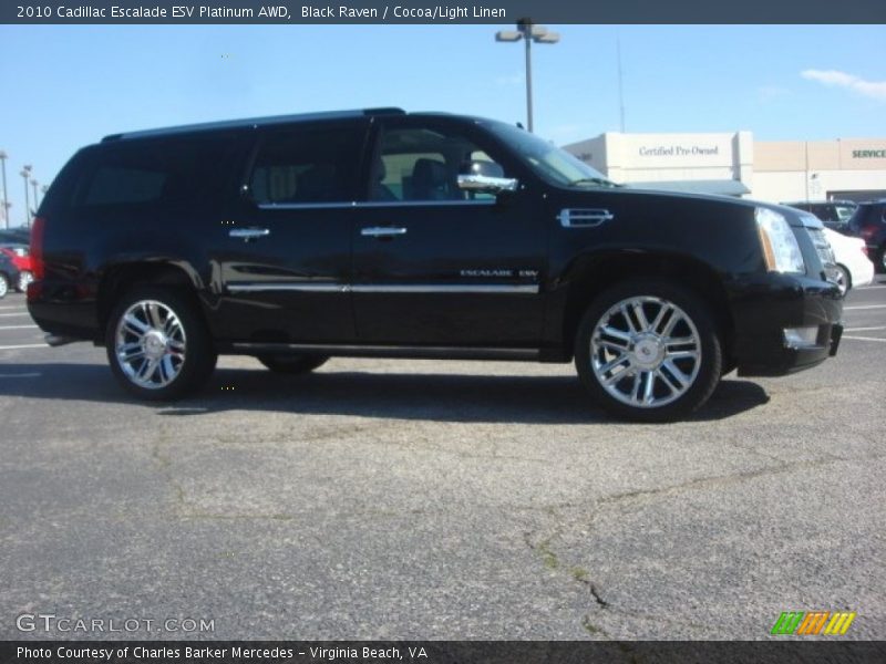 Black Raven / Cocoa/Light Linen 2010 Cadillac Escalade ESV Platinum AWD