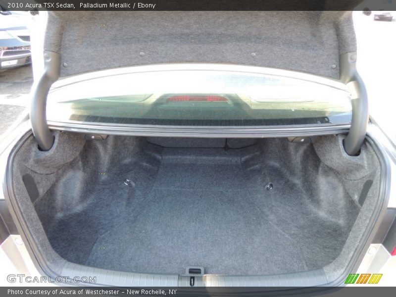 Palladium Metallic / Ebony 2010 Acura TSX Sedan
