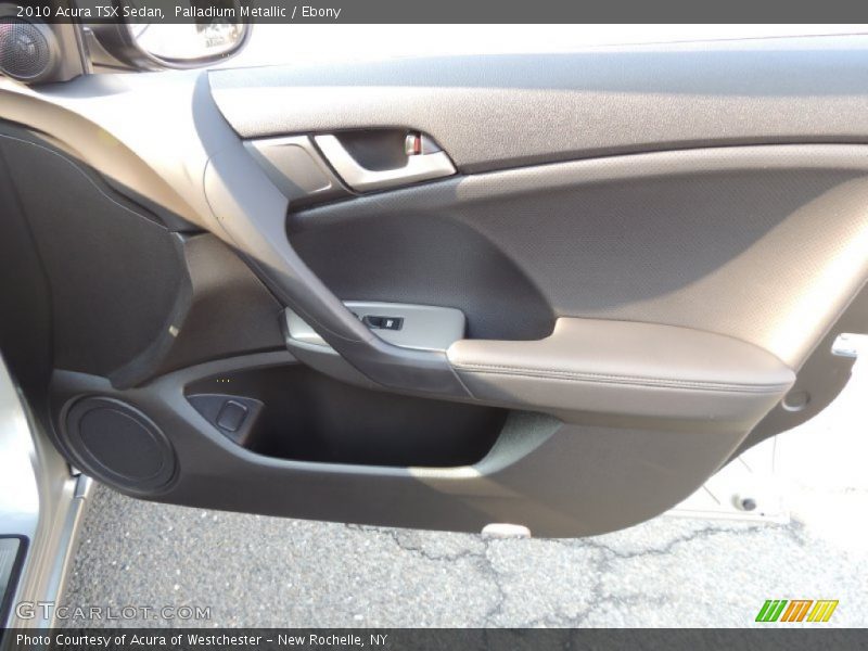 Palladium Metallic / Ebony 2010 Acura TSX Sedan