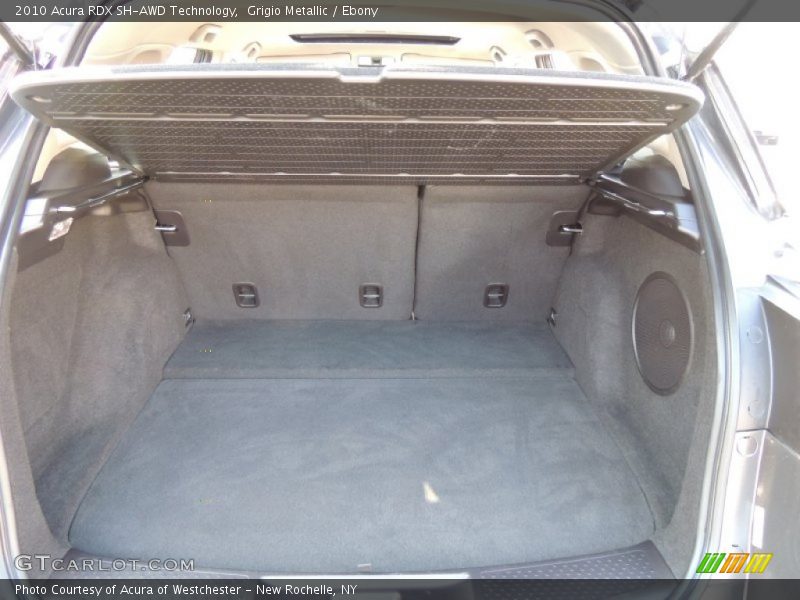 Grigio Metallic / Ebony 2010 Acura RDX SH-AWD Technology