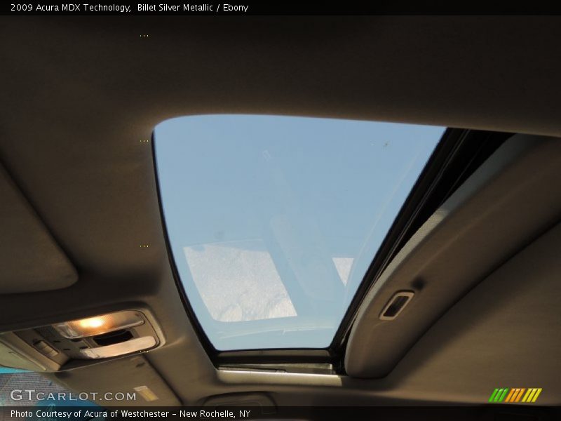 Billet Silver Metallic / Ebony 2009 Acura MDX Technology