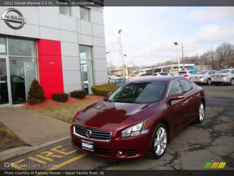 Tuscan Sun / Charcoal 2012 Nissan Maxima 3.5 SV