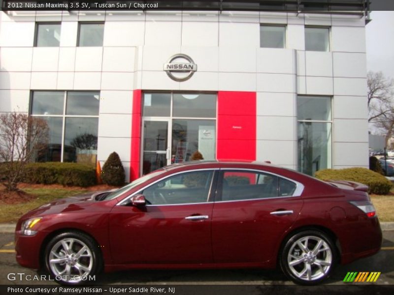 Tuscan Sun / Charcoal 2012 Nissan Maxima 3.5 SV