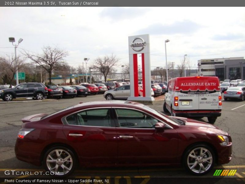 Tuscan Sun / Charcoal 2012 Nissan Maxima 3.5 SV