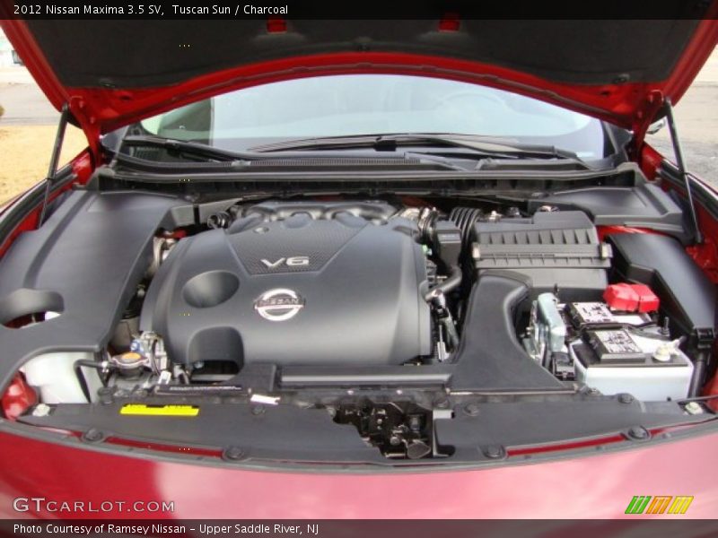 Tuscan Sun / Charcoal 2012 Nissan Maxima 3.5 SV