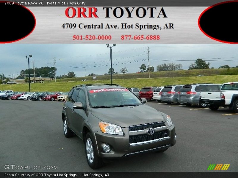 Pyrite Mica / Ash Gray 2009 Toyota RAV4 V6