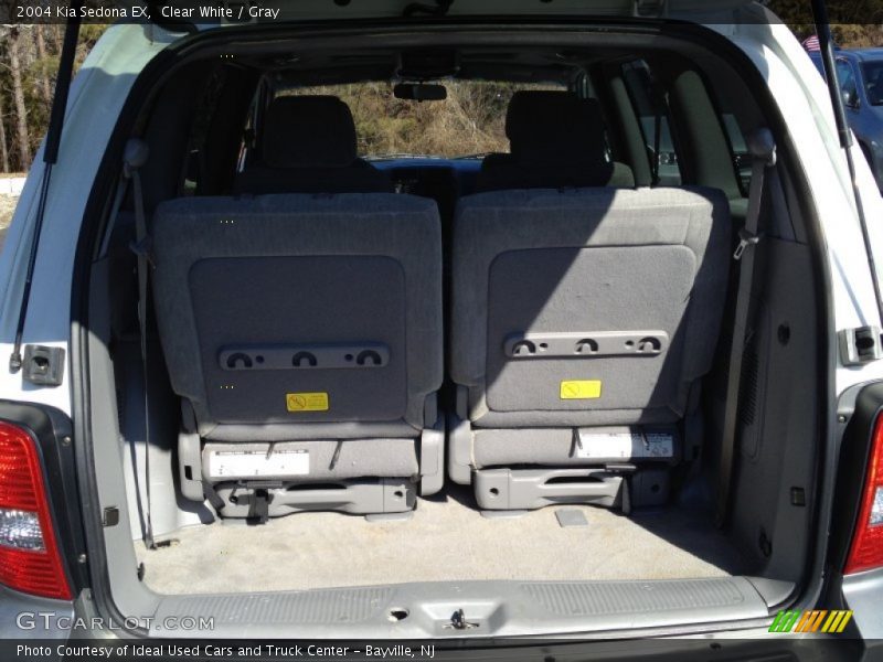 Clear White / Gray 2004 Kia Sedona EX