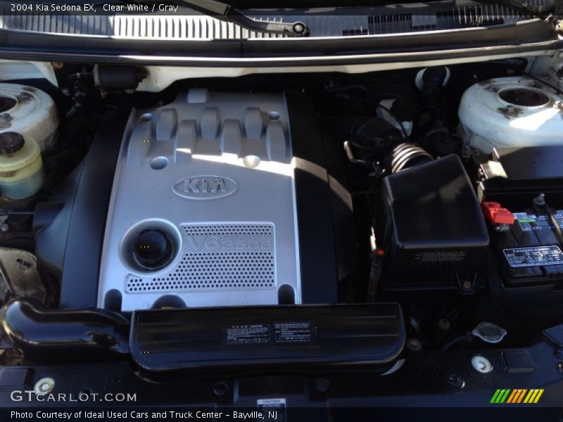 Clear White / Gray 2004 Kia Sedona EX