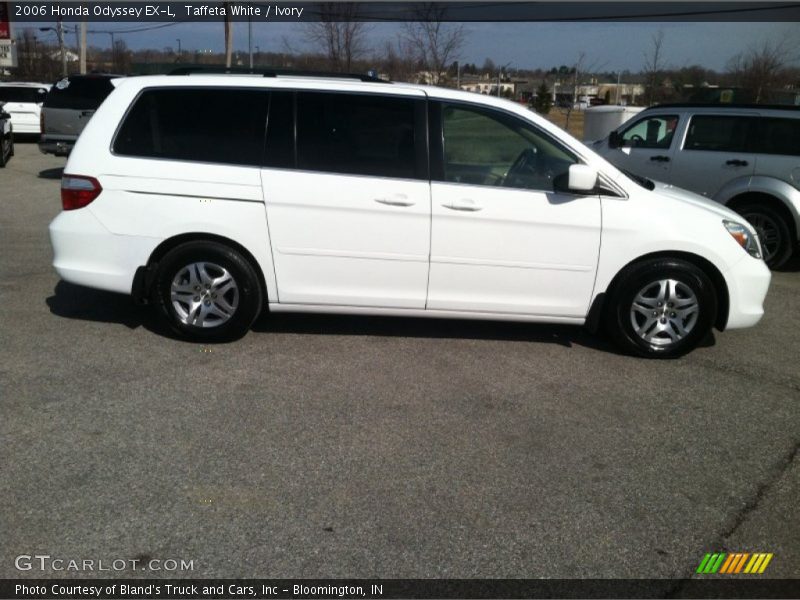 Taffeta White / Ivory 2006 Honda Odyssey EX-L