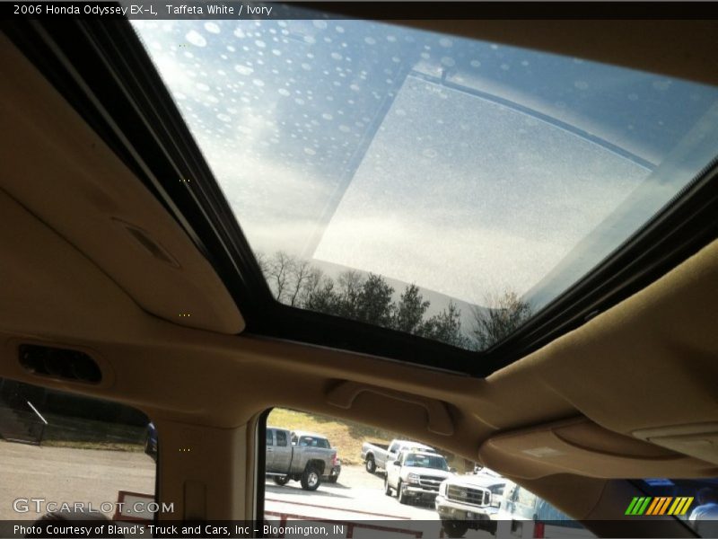 Taffeta White / Ivory 2006 Honda Odyssey EX-L