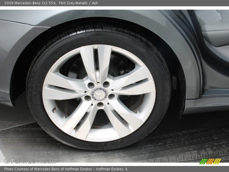 Flint Grey Metallic / Ash 2009 Mercedes-Benz CLS 550