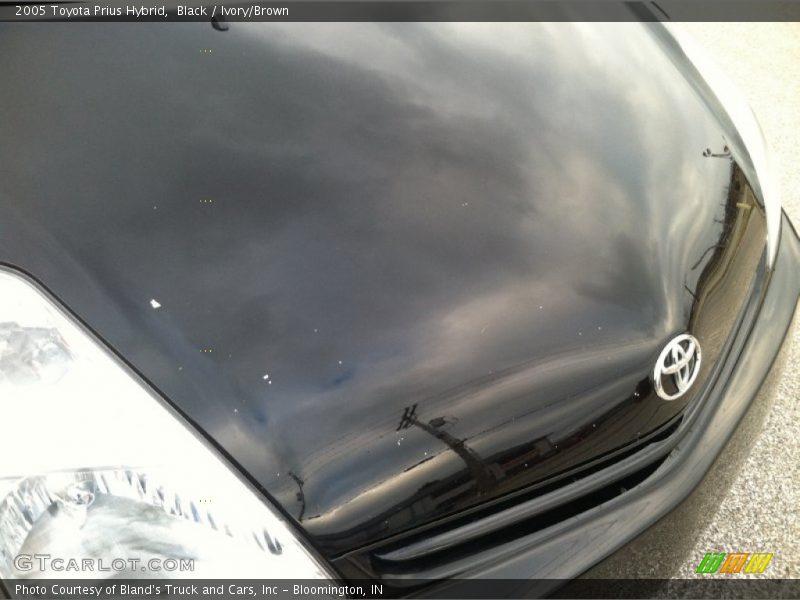 Black / Ivory/Brown 2005 Toyota Prius Hybrid