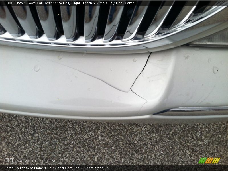 Light French Silk Metallic / Light Camel 2006 Lincoln Town Car Designer Series