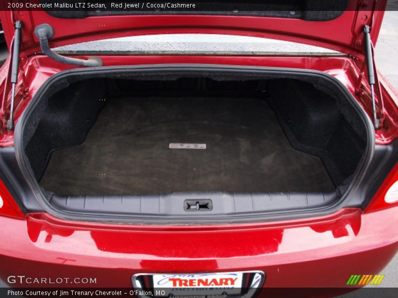 Red Jewel / Cocoa/Cashmere 2009 Chevrolet Malibu LTZ Sedan
