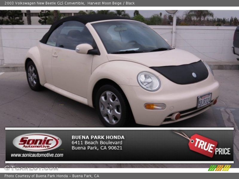 Harvest Moon Beige / Black 2003 Volkswagen New Beetle GLS Convertible