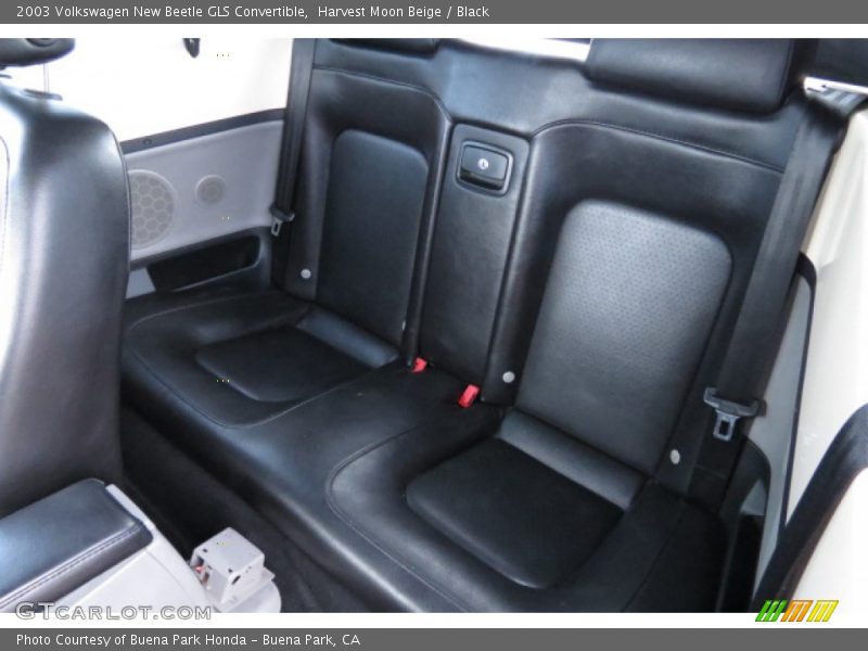 Harvest Moon Beige / Black 2003 Volkswagen New Beetle GLS Convertible