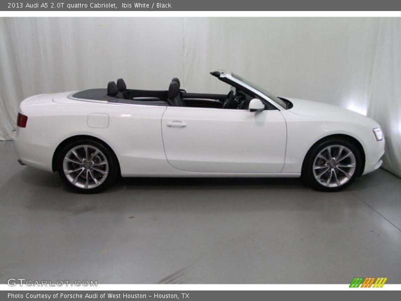 Ibis White / Black 2013 Audi A5 2.0T quattro Cabriolet