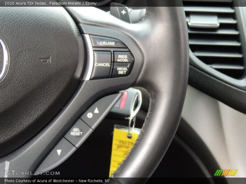 Palladium Metallic / Ebony 2010 Acura TSX Sedan