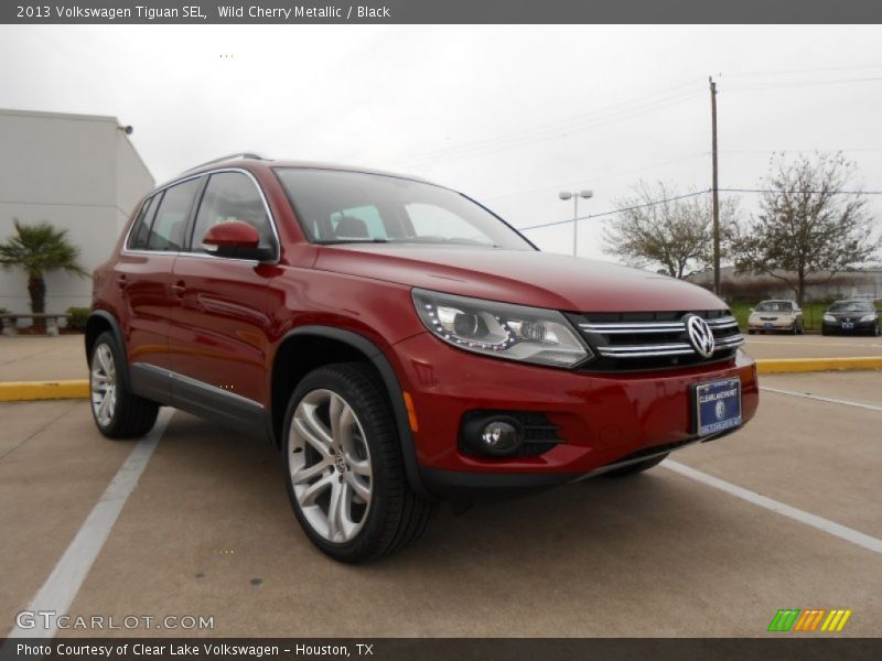 Wild Cherry Metallic / Black 2013 Volkswagen Tiguan SEL