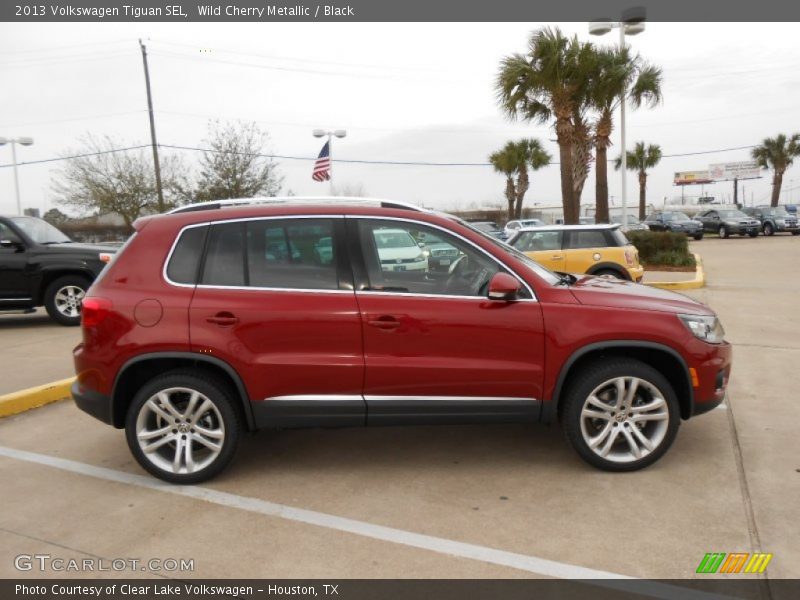 Wild Cherry Metallic / Black 2013 Volkswagen Tiguan SEL