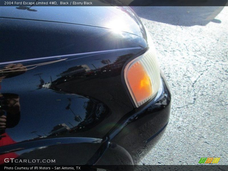 Black / Ebony Black 2004 Ford Escape Limited 4WD