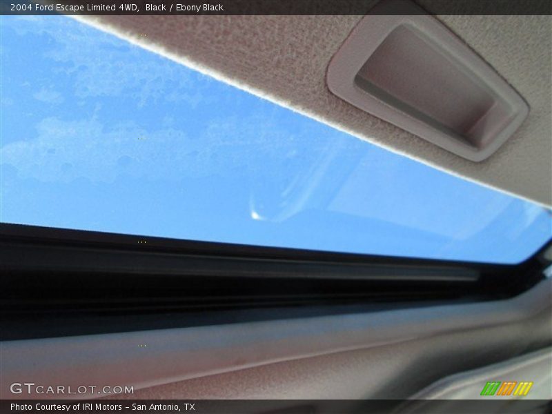 Black / Ebony Black 2004 Ford Escape Limited 4WD
