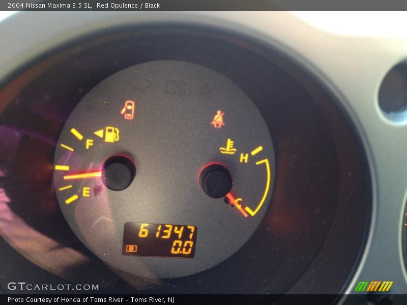Red Opulence / Black 2004 Nissan Maxima 3.5 SL