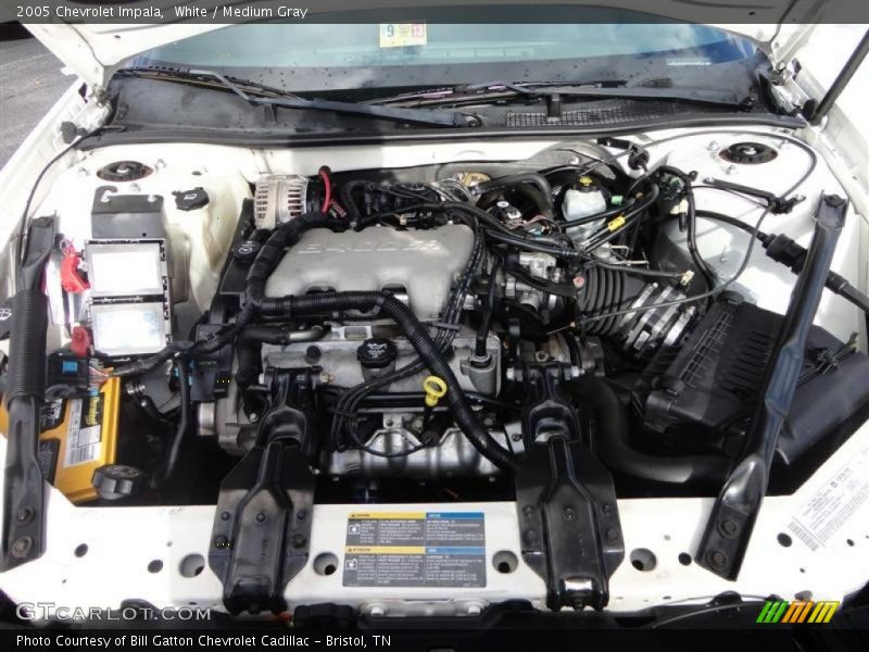 White / Medium Gray 2005 Chevrolet Impala