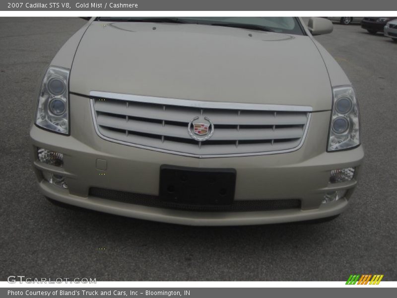 Gold Mist / Cashmere 2007 Cadillac STS V8