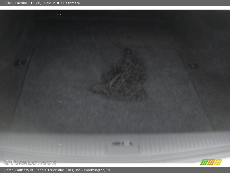 Gold Mist / Cashmere 2007 Cadillac STS V8