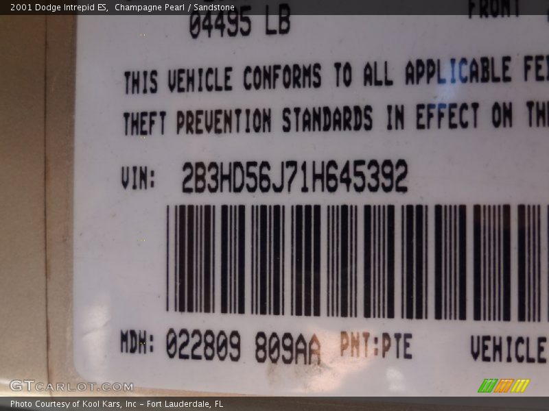 2001 Intrepid ES Champagne Pearl Color Code PTE