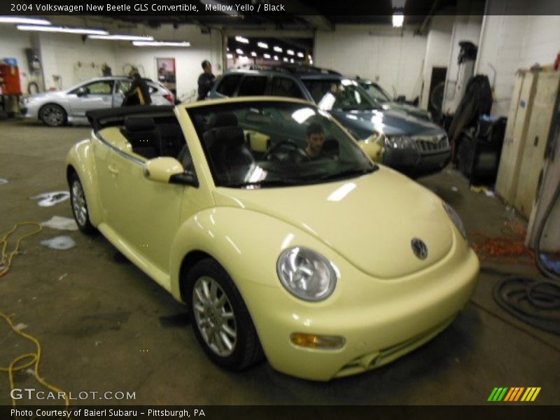Mellow Yello / Black 2004 Volkswagen New Beetle GLS Convertible