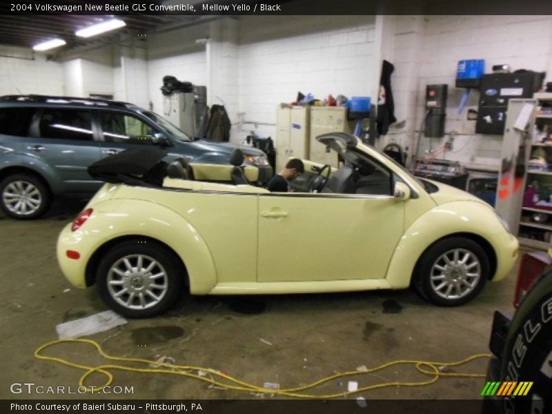 Mellow Yello / Black 2004 Volkswagen New Beetle GLS Convertible