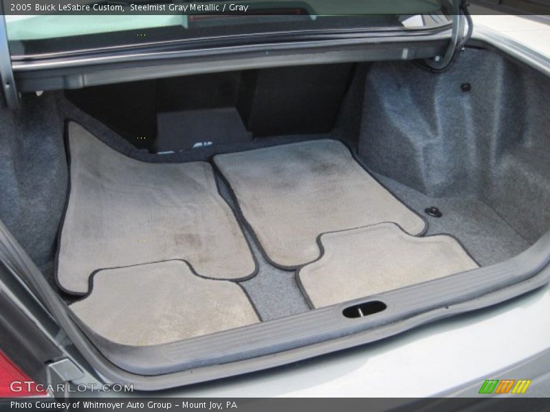 Steelmist Gray Metallic / Gray 2005 Buick LeSabre Custom