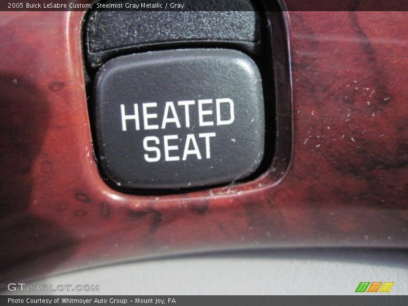 Steelmist Gray Metallic / Gray 2005 Buick LeSabre Custom