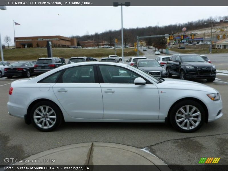 Ibis White / Black 2013 Audi A6 3.0T quattro Sedan