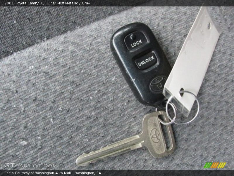 Lunar Mist Metallic / Gray 2001 Toyota Camry LE