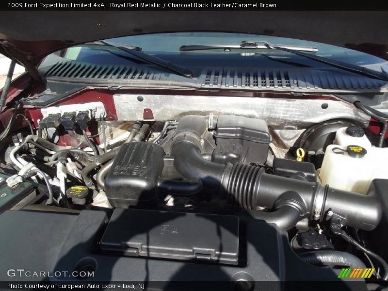 Royal Red Metallic / Charcoal Black Leather/Caramel Brown 2009 Ford Expedition Limited 4x4