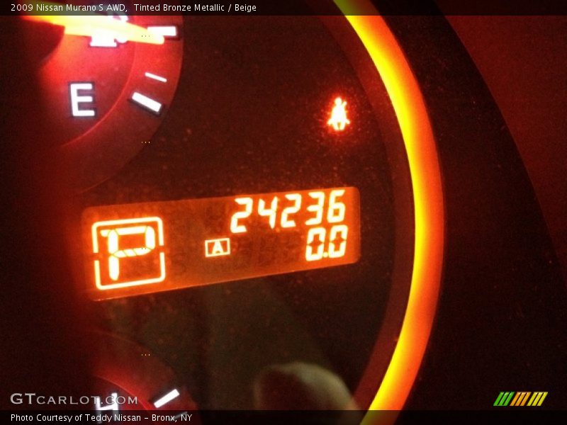 Tinted Bronze Metallic / Beige 2009 Nissan Murano S AWD