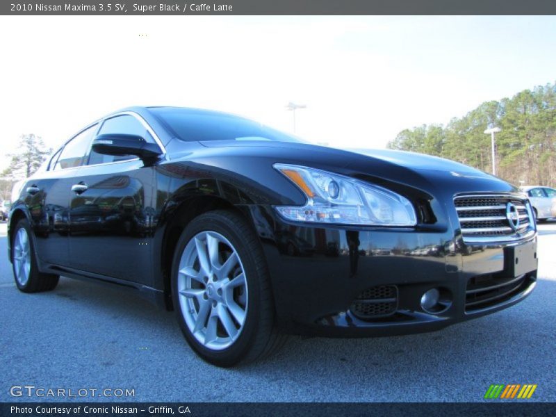 Super Black / Caffe Latte 2010 Nissan Maxima 3.5 SV