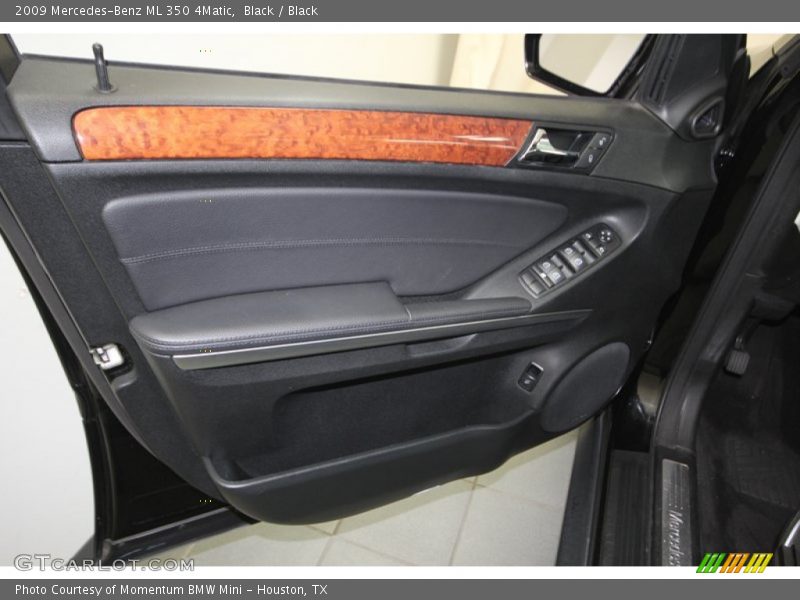 Door Panel of 2009 ML 350 4Matic
