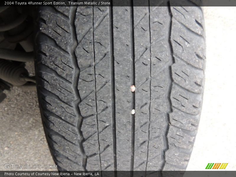 Titanium Metallic / Stone 2004 Toyota 4Runner Sport Edition